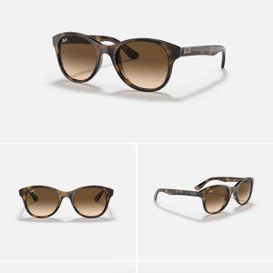 Ray Ban Sunglasses RB4203